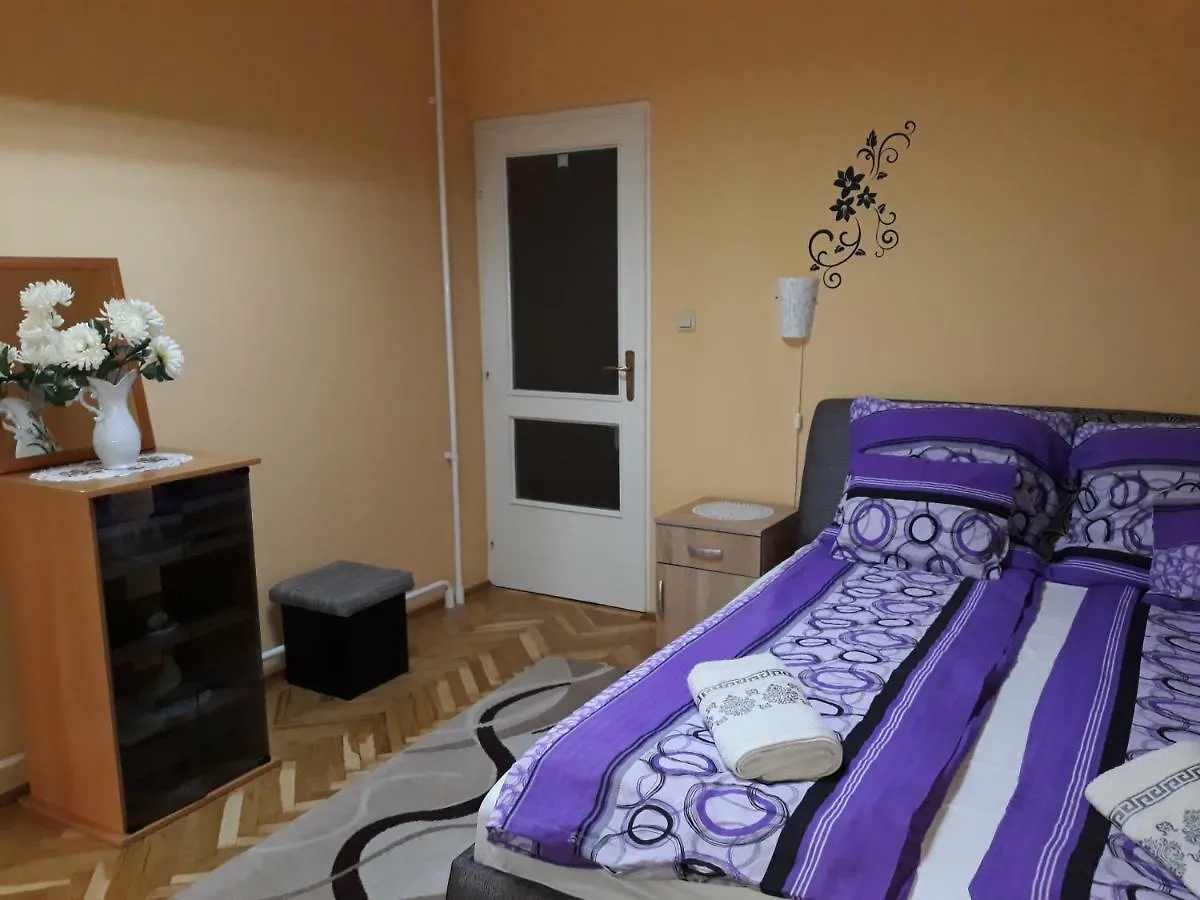 Sebes Apartman Apartman Debrecen 0*,